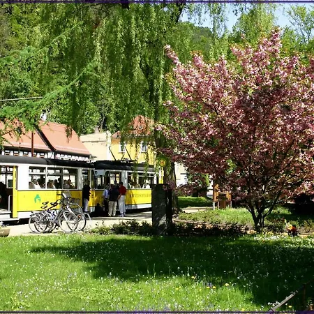 Apartmán Elbufer 83 *